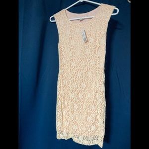 NWT Forever 21 - Light Pink/Cream Lace Dress